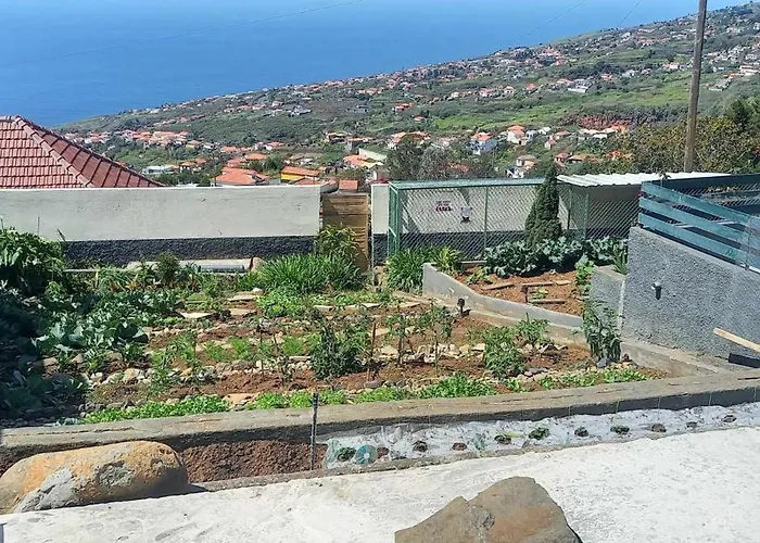 De Paz * Calheta (Madeira)